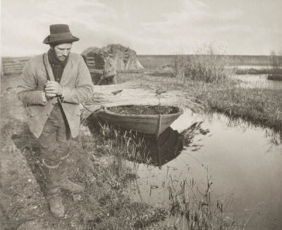 Peter Henry Emerson - Towing the Reed, 1886