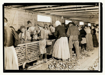 Lewis Wickes Hine - Oyster Shuckers (#2058), circa 1911